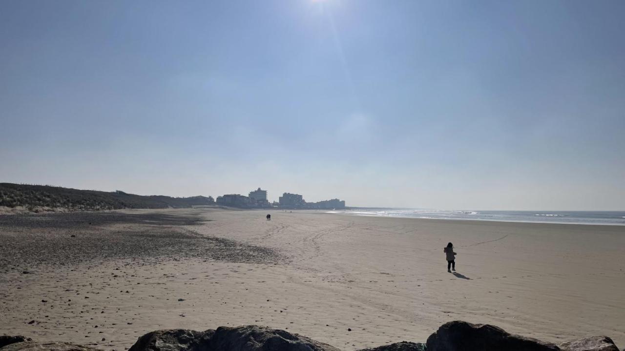 サン・ジル・クロワ・ド・ヴィLe Phare Du Portアパートメント エクステリア 写真